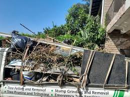 Best Commercial Junk Removal  in Park City, TN