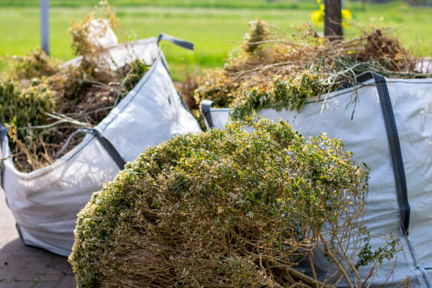 Best Yard Waste Removal  in Park City, TN